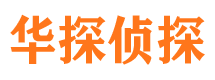 隆子寻人公司